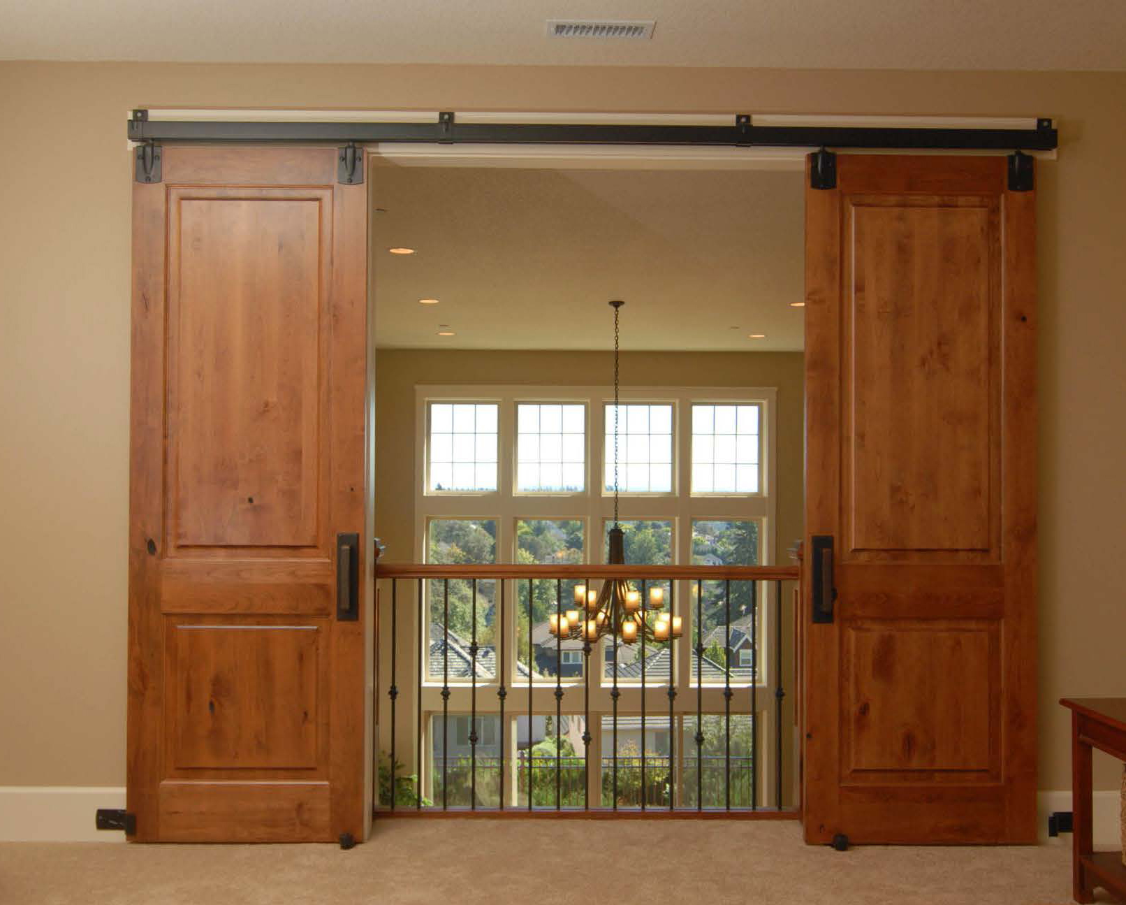 Double Barn Doors For Living Room